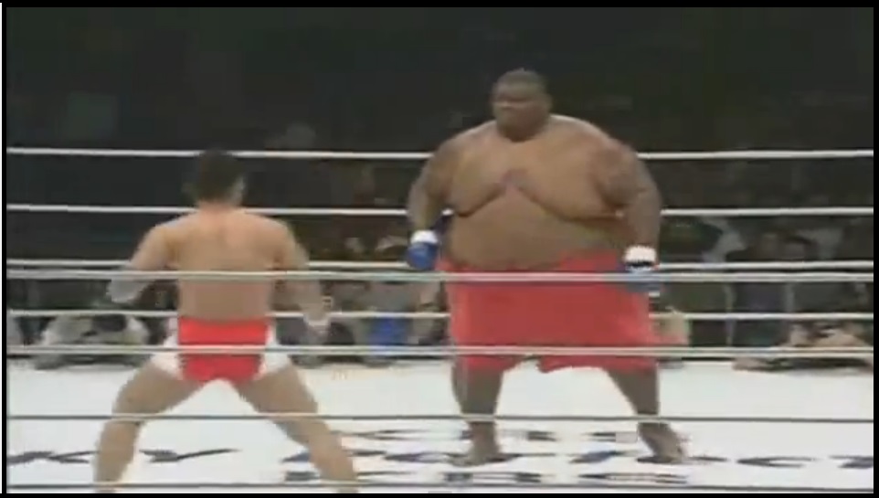 combat sumo boxer mma