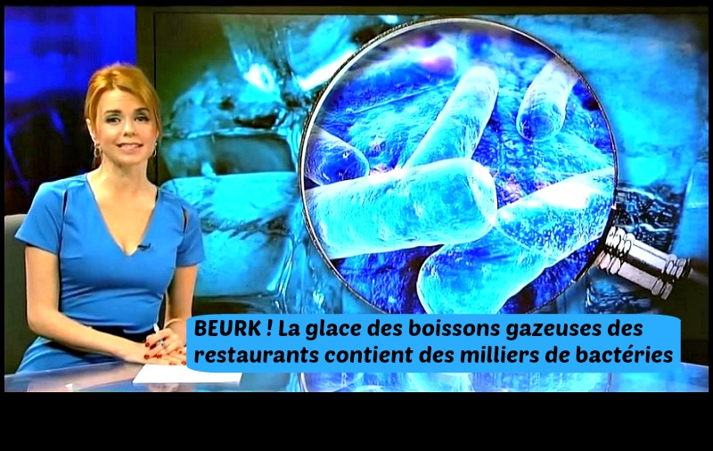 glace restaurant bacterie