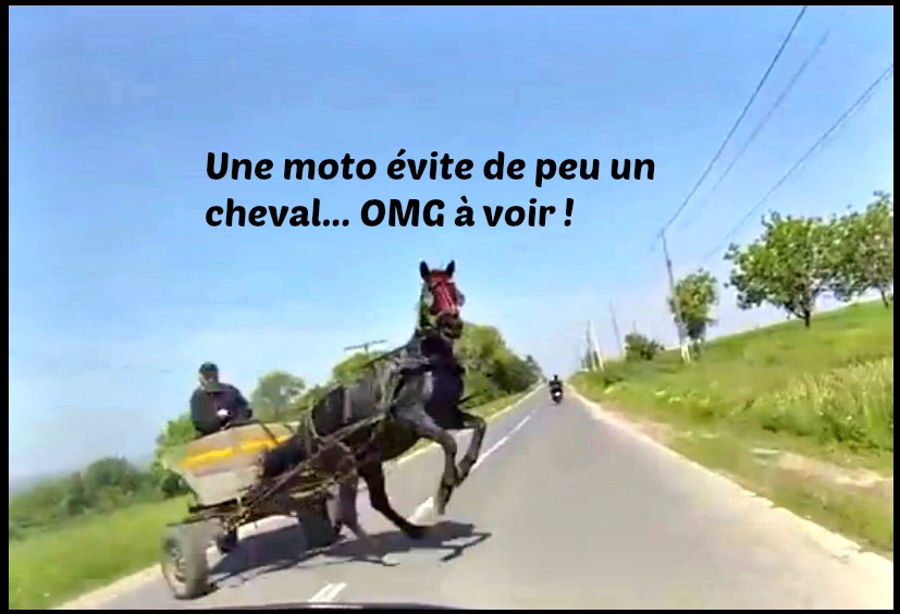 moto cheval accident evite