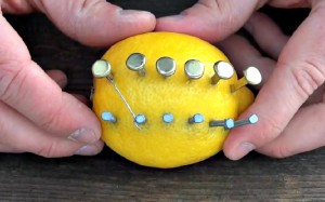 astuce citron survie en foret