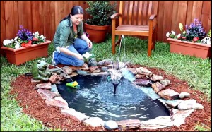 fabriquer un jardin eau facilement rapidement