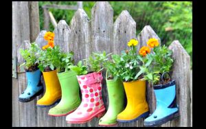 astuce jardin jardinage