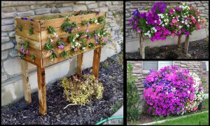 fabriquer jardiniere palette bois