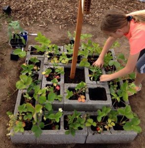 astuce bloc beton mini jardin