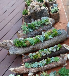 astuce jardin branche arbre fleurs