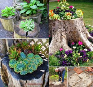 astuce jardin fleurs arbre