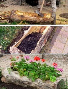 astuce jardin tronc arbre fleurs