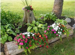 astuce jardin troncs