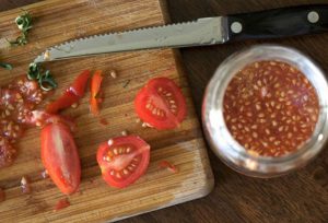 astuce faire pousser tomate