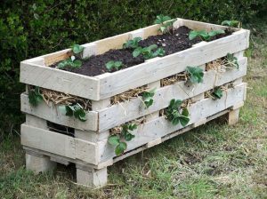 astuce jardin palette jardiniere