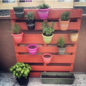 astuce jardin palette pot plante