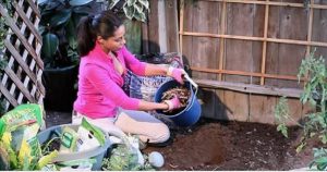 astuce jardinage sel epsom