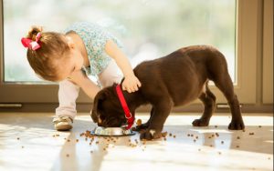 enfant 3 ans nourrir chien