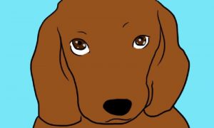 chiens yeux doux signification