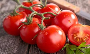 plant tomates astuce jardinage